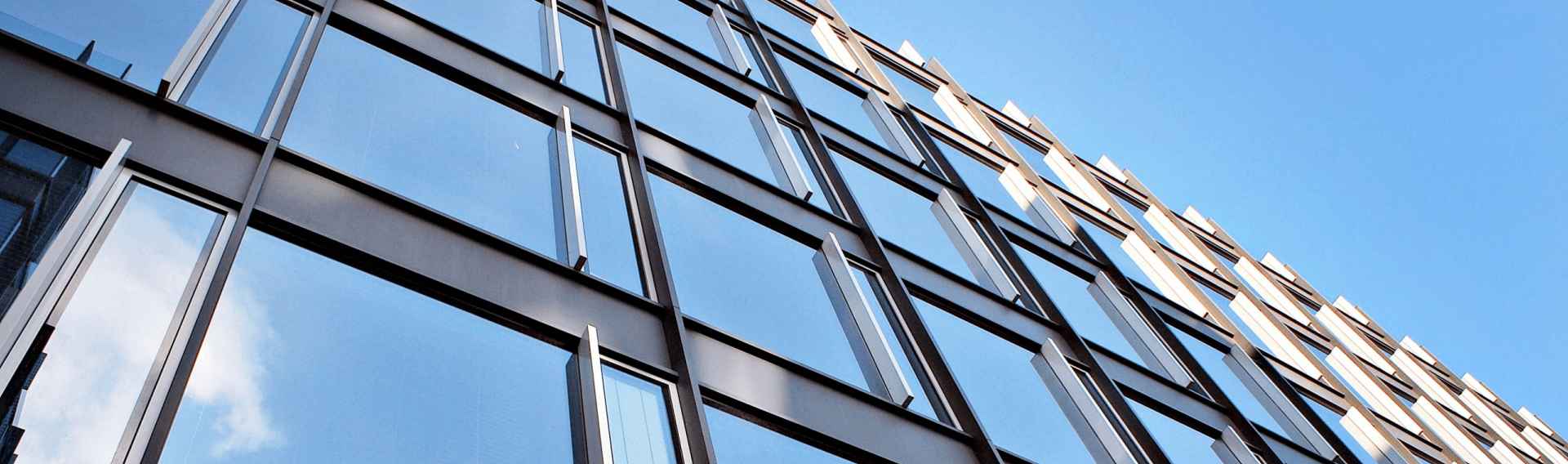 کرتین وال فیس کپ